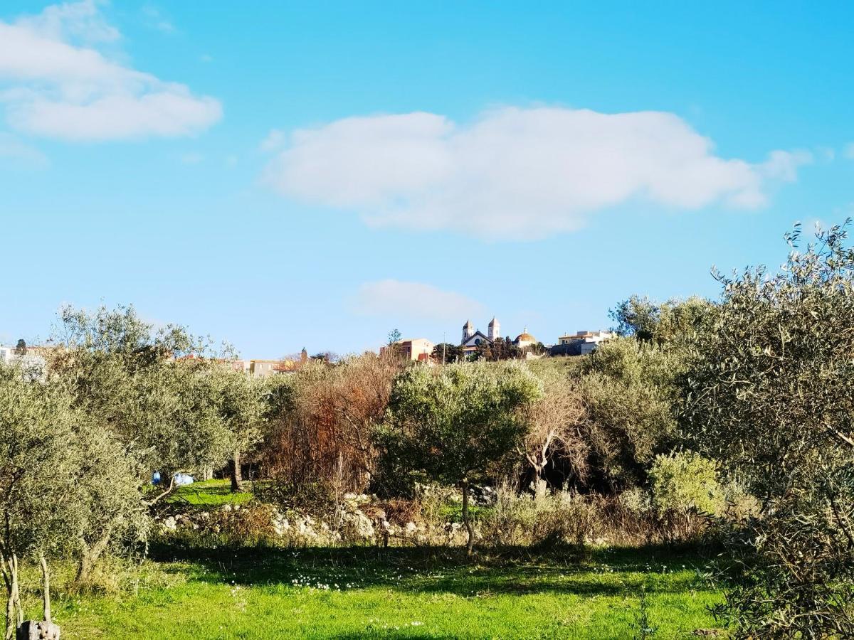 La Corte Degli Ulivi - Albergo Rurale Tresnuraghes Exteriér fotografie