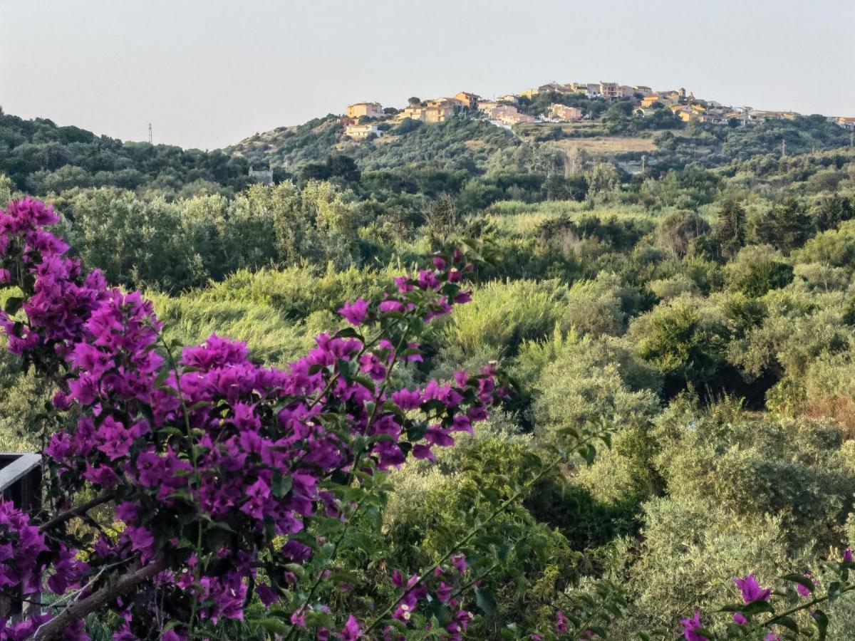 La Corte Degli Ulivi - Albergo Rurale Tresnuraghes Exteriér fotografie
